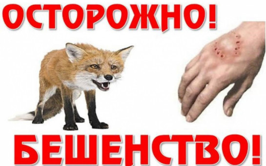 Осторожно, бешенство!!!